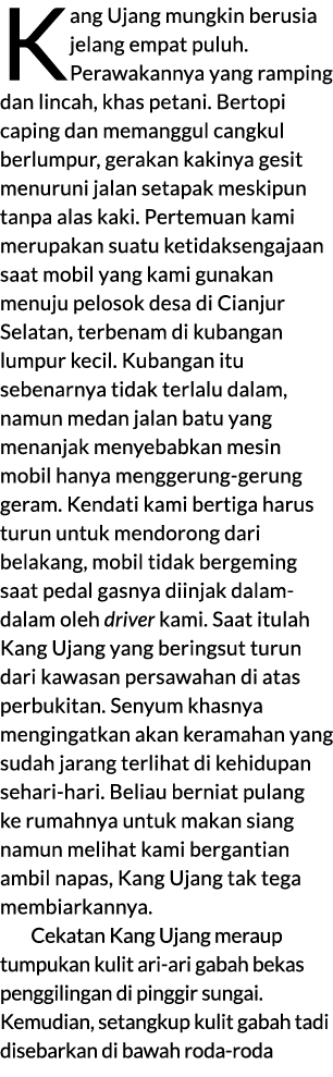 Kang Ujang mungkin berusia jelang empat puluh. Perawakannya yang ramping dan lincah, khas petani. Bertopi caping dan ...