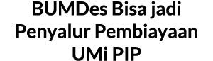 BUMDes Bisa jadi Penyalur Pembiayaan UMi PIP