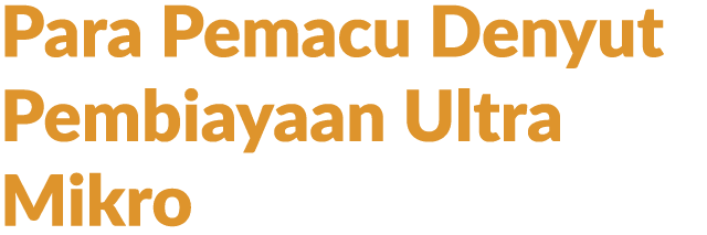 Para Pemacu Denyut Pembiayaan Ultra Mikro