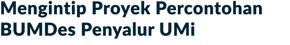 Mengintip Proyek Percontohan BUMDes Penyalur UMi 