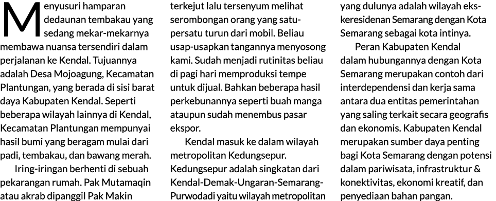 Menyusuri hamparan dedaunan tembakau yang sedang mekar mekarnya membawa nuansa tersendiri dalam perjalanan ke Kendal....