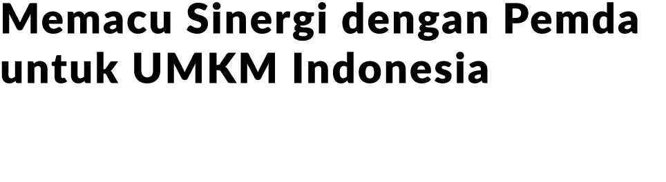 Memacu Sinergi dengan Pemda untuk UMKM Indonesia