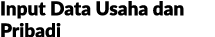 Input Data Usaha dan Pribadi